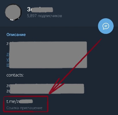 ссылка на канал телеграм